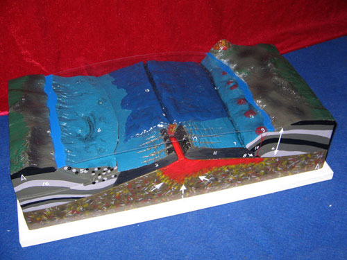 Detailed Product Description: Ocean Floor Model Detailed Product Description: Ocean Floor Model