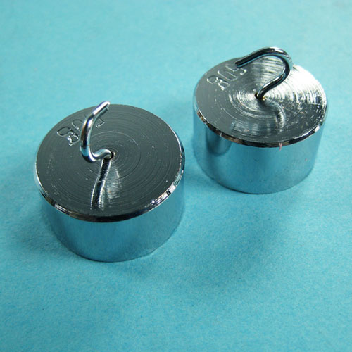 Weights with Hooks for Demonstrations in Mechanics (10 X 50g