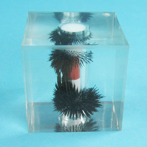 magnetic Induction Lines Demonstration Device manufacturers, magnetic ...