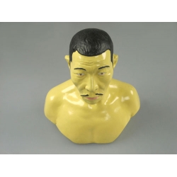 Bust of the Asian-American Race
