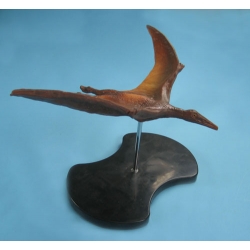 Pterodactyl Model