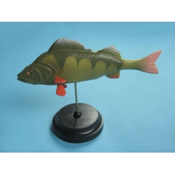 Fish Model