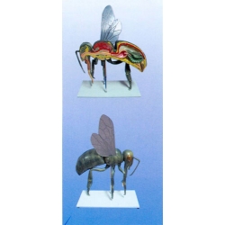 Bee Structure Model