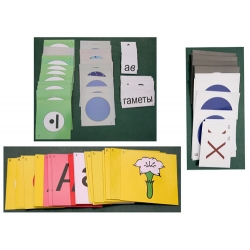 The Basic Genetic Theory, Magnetic Demonstration Cards