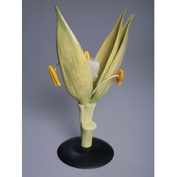 Wheat Flower Model