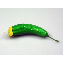 Cucumber Model