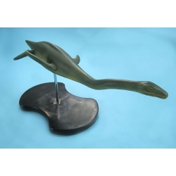 Plesiosaurus Model