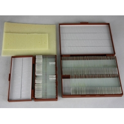 Microscope Slide Set