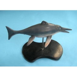 Ichthyosaurus Model