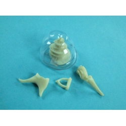 Human Ear Bone Model Set