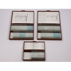 Microscope Slide Set