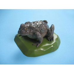 Toad Model