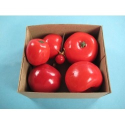 Tomato Model Set
