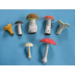 Edible and Poisonous Mushrooms