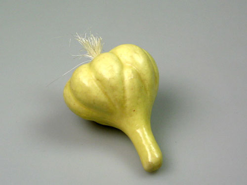 Garlic Bulb Model