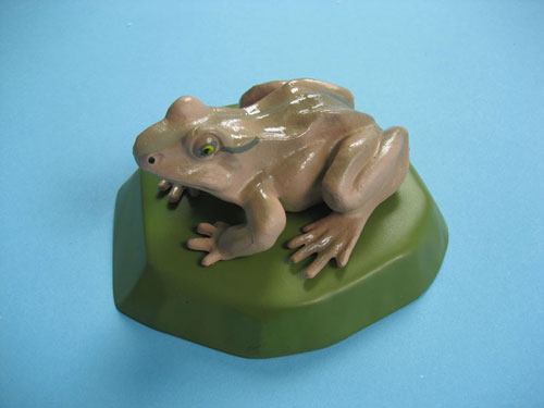 Frog Model