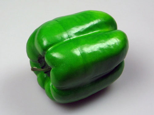 Green Bell Pepper Model