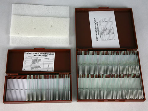 Microscope Slide Set