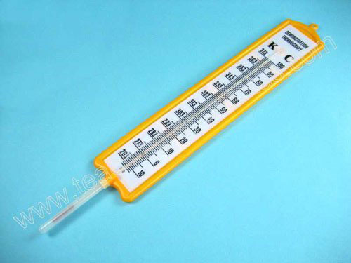 Demonstration Thermometer