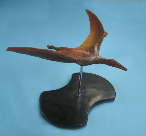 Pterodactyl Model