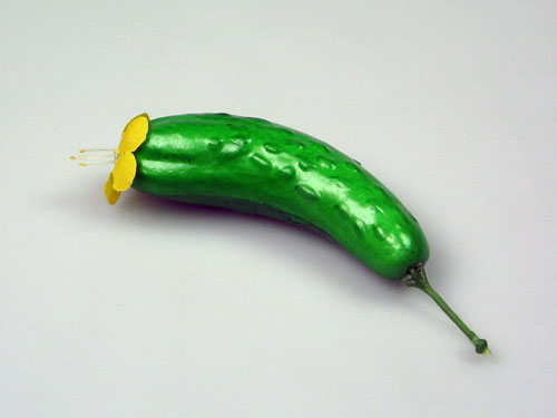 Cucumber Model