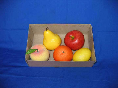 Fruit Set