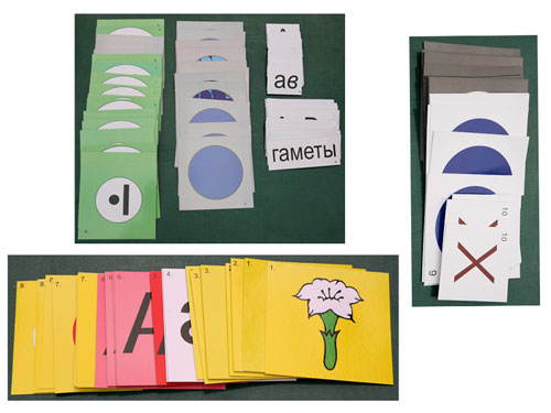 The Basic Genetic Theory, Magnetic Demonstration Cards