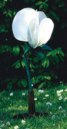 Pea Flower Pisum Sativum Model