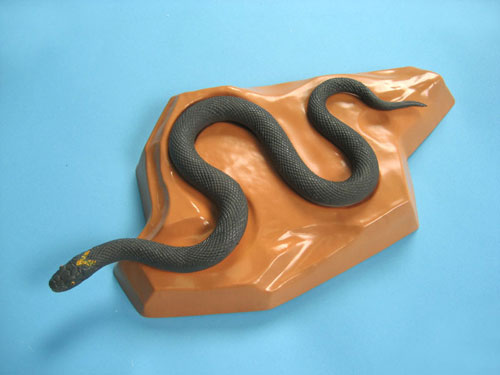 Poisonous Snake Model