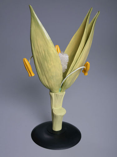 Wheat Flower Model