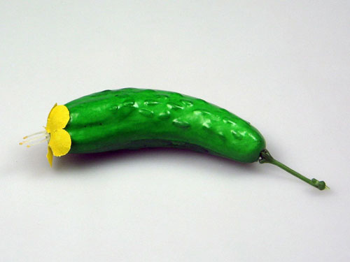 Cucumber Model