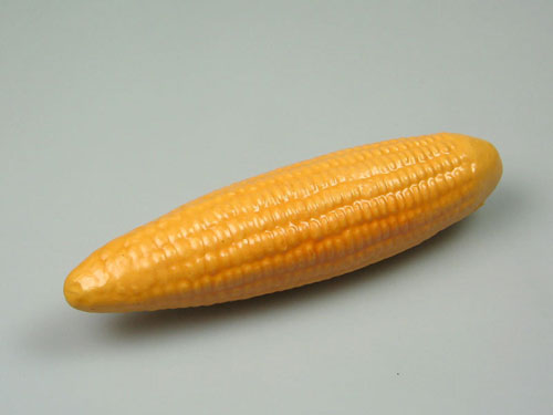 Corn Model