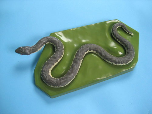 Grass Snake Model