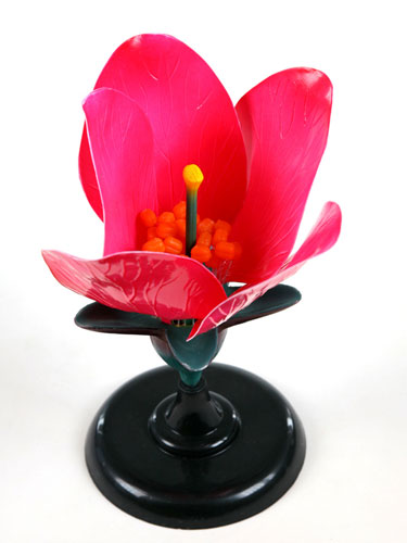 Peach Flower Model