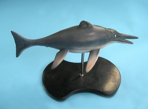 Ichthyosaurus Model