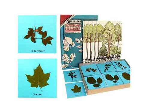 Leaf Representations Herbarium