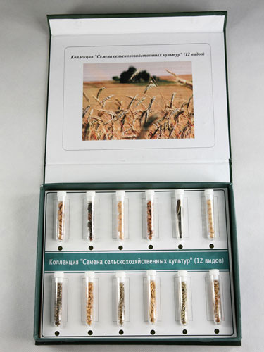 Farm Crop Seeds Herbarium - 12 Types