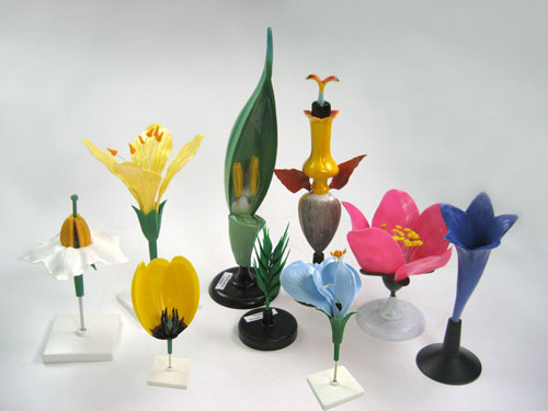 Flower Models