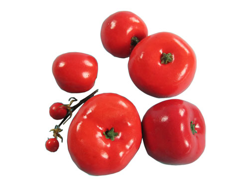 Tomato Model Set