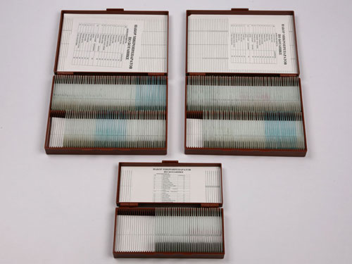 Microscope Slide Set