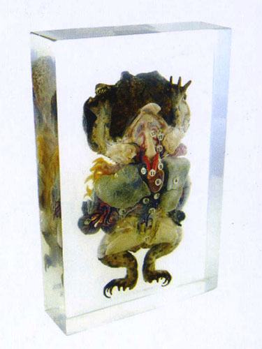 Resin Educational Specimen“Frog”