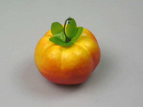 Tomato Model