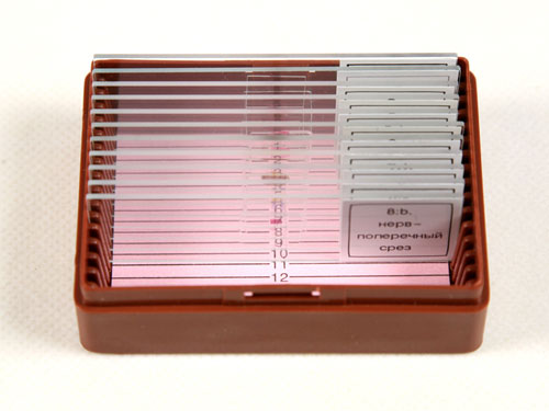 Microscope Slide Set