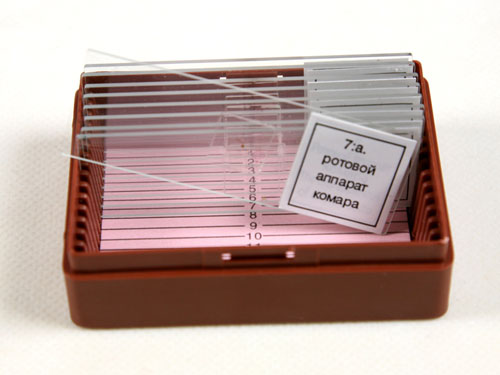 Microscope Slide Set