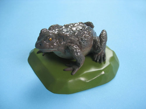 Toad Model