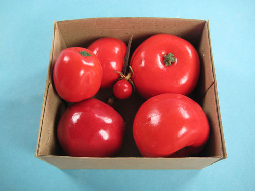 Tomato Model Set