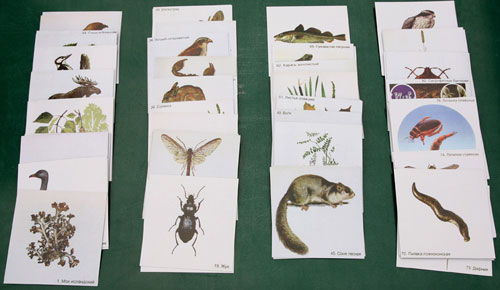 The Nature of Biological Communities, Magnetic Demonstration Cards