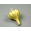 Garlic Bulb Model