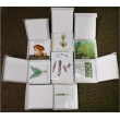 Animal Reproduction Magnetic Demonstration Cards