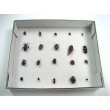 Harmful Insects Specimen Collection